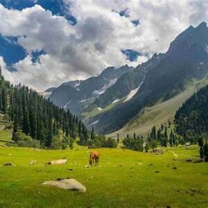safe kashmir